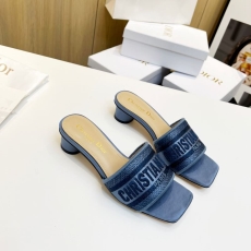 Christian Dior Slippers